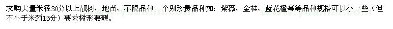 求購大量香樟米徑30分以上靚樹