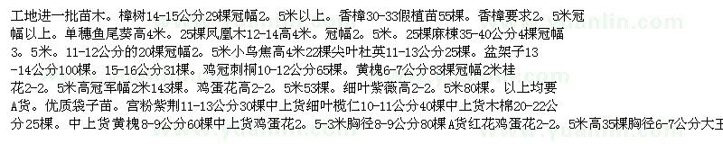 求購(gòu)樟樹(shù)　香樟　鳳凰木　麻楝等