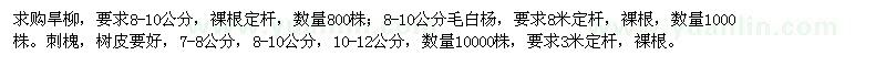 求購旱柳,毛白楊,刺槐