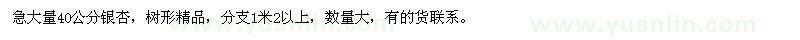 求購40公分銀杏