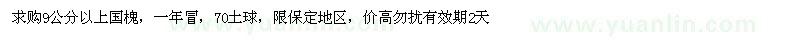 求購9公分以上國槐