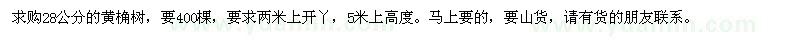 求購(gòu)28公分的黃桷樹(shù)