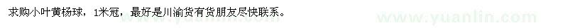 求購1米冠的小葉黃楊球