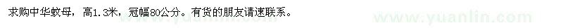 求購高1.3米的中華蚊母