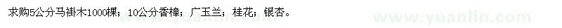 求購馬褂木、香樟、廣玉蘭、桂花、銀杏