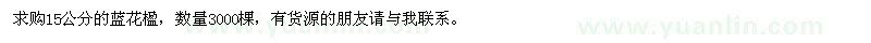 求購15公分的藍花楹