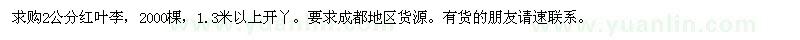 求購2公分紅葉李