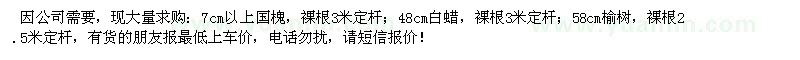 求購白蠟、國槐、榆樹
