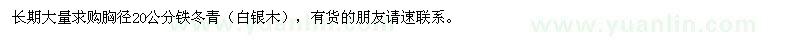 求購胸徑20公分鐵冬青