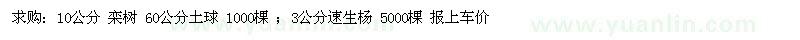 求購欒樹 速生楊