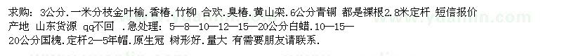 求購3公分.一米分枝金葉榆