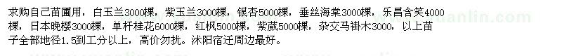 求購白玉蘭3000棵，紫玉蘭3000棵