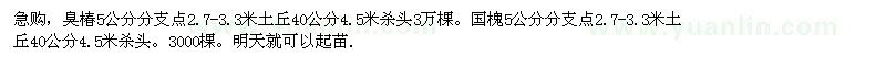 求購臭椿、國槐