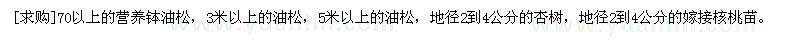 求購油松，杏樹，嫁接核桃苗
