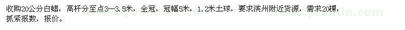 求購(gòu)20公分白蠟，高干分至點(diǎn)3--3.5米