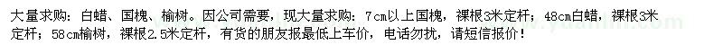 求購白蠟、國槐、榆樹