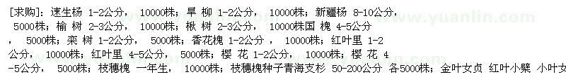 求購速生楊 旱柳 新疆楊 榆樹 樸樹 楸樹 國槐 欒樹 香花槐 紅