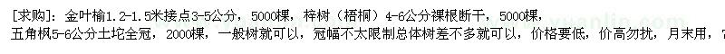 求購金葉榆，梓樹（梧桐），五角楓