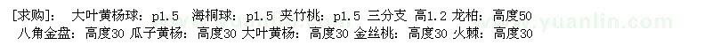 求購大葉黃楊球 海桐球 夾竹桃
