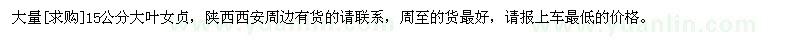 求購大量15公分大葉女貞
