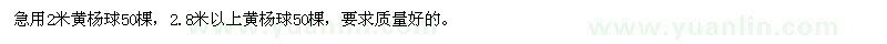 求購黃楊球