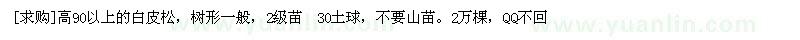 求購(gòu)高90以上的白皮松，樹形一般