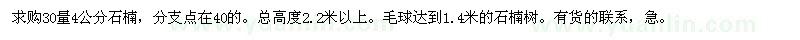 求購(gòu)4公分石楠