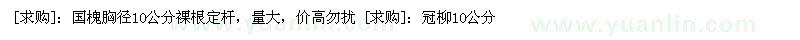 求購國槐胸徑10公分 冠柳10公分