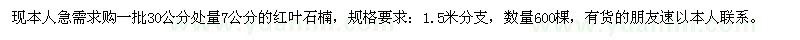 求購7公分紅葉石楠