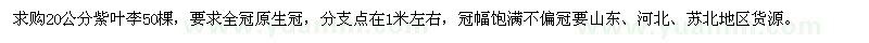 求購20公分紫葉李50棵