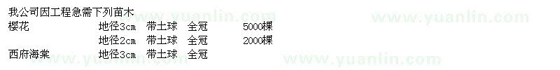 求購(gòu)櫻花、西府海棠