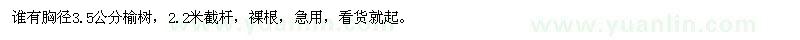 求購(gòu)胸徑3.5公分榆樹(shù)，2.2米截桿，裸根
