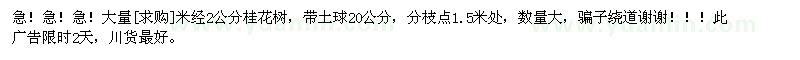 求購急！急！急！大量米經2公分桂花樹