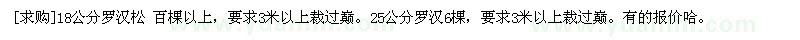 求購(gòu)18公分羅漢松 百棵以上