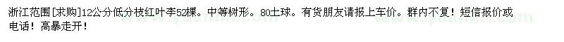 求購浙江范圍12公分低分枝紅葉李52棵