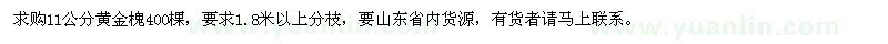 求購11公分黃金槐