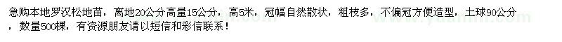 求購(gòu)地徑15公分本地羅漢松地苗500棵