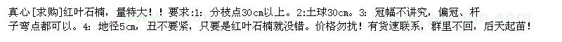 求購紅葉石楠，量特大