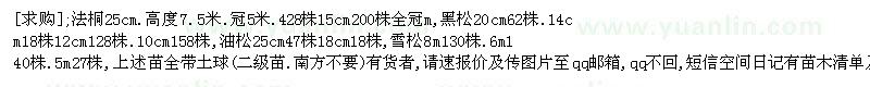 求購(gòu)法桐 ,黑松, 油松