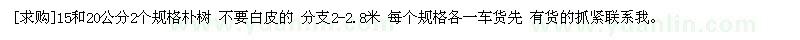 求購15和20公分樸樹