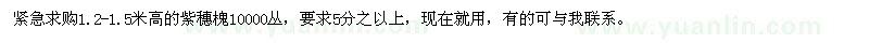 求購1.2-1.5米高的紫穗槐