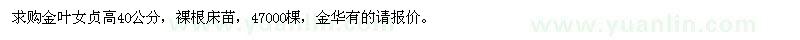 求購金葉女貞高40公分 