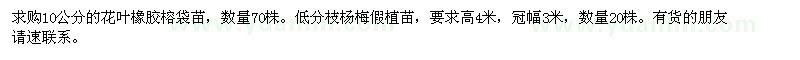 求購花葉橡膠榕袋苗、楊梅假植苗
