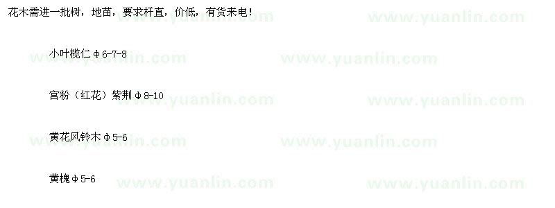 求購(gòu)紫荊、小葉欖仁、黃風(fēng)鈴木等