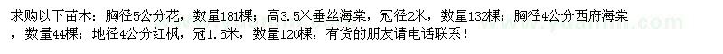 求購(gòu)櫻花、垂絲海棠、西府海棠、紅楓