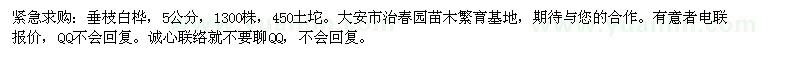 求購緊急：垂枝白樺，5公分