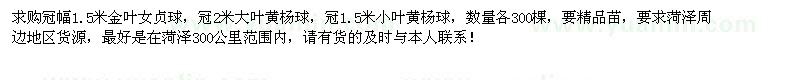 求購(gòu)金葉女貞球、大葉黃楊球