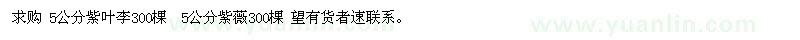 求購(gòu)紫葉李、紫薇