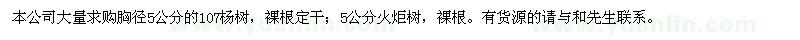 求購5公分107楊樹、5公分火炬