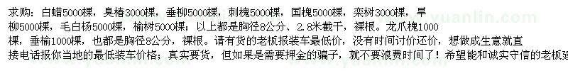 求購白蠟、國槐、刺槐、欒樹、垂柳、旱柳、毛白楊、龍爪槐、垂榆